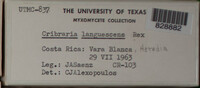 Image Associated With the Occurence